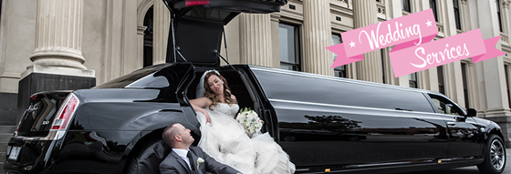 Taxi Companies Minneapolis: Taxi Companies Minneapolis